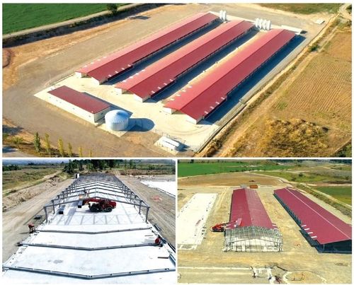 最新の会社の事例について 3つの新しいブロイラーハウスは,ブロイラー鶏の肥料ホール建設の第3段階で,約147000頭のブロイラーを収容する.