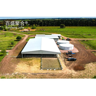 メタルビルディング 鉄鋼構造物 牛の棚/羊の棚/豚の家用