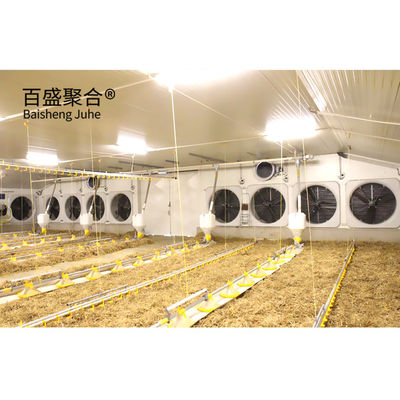 マルチフロア 広範囲のチキンクープシェッド 農家ハウス 倉庫 アルミ合金窓