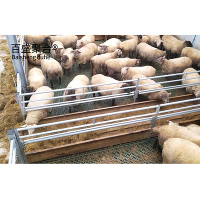 牛 馬 羊 羊 牛 牛 羊 羊 羊 羊 羊 羊 羊 羊 羊 羊 羊 羊 羊 羊 羊 羊 羊 羊 羊 羊 羊 羊 羊 羊 羊 羊 羊 羊 羊 羊 羊 羊 羊 羊 羊 羊 羊 羊 羊 羊 羊 羊 羊 羊 羊 羊 羊 羊 羊 羊 羊 羊 羊 羊 羊 羊 羊 羊 羊 羊 羊 羊 羊 羊 羊 羊 羊 羊 羊 羊 羊 羊 羊 羊 羊 羊 羊 羊 羊 羊 羊 羊 羊 羊 羊 羊 羊 羊 羊 羊 羊 羊 羊 羊 羊 羊 羊 羊 羊 羊 羊 羊 羊 羊 羊 羊 羊 羊 羊 羊 羊 羊 羊 羊 羊 羊 羊 羊 羊 羊 羊