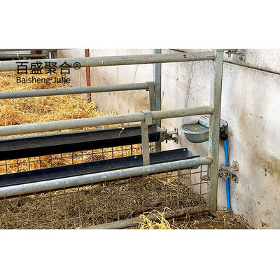 ISO9001 2008/CE/BV 認証された鋼筋構造 製造された家禽とヤギ飼育場