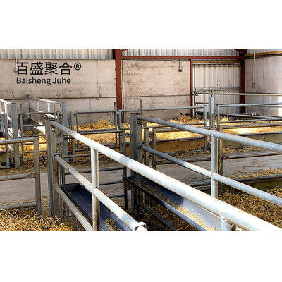 Q345 鉄鋼構造 羊やヤギの飼育施設の建設のためのプリファブ金属建築物