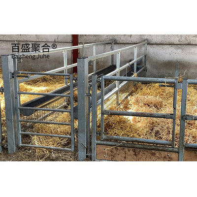 Q345 鉄筋構造設計 羊飼育/家畜飼育のための家畜飼育場 MTS図