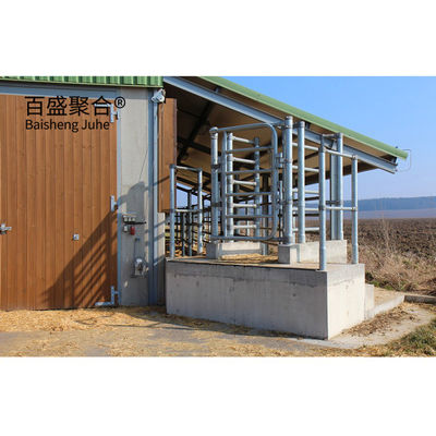 軽鋼構造 牛の農場ビル ISO9001 2008/CE/BVを準拠したプリファブリック牛棚