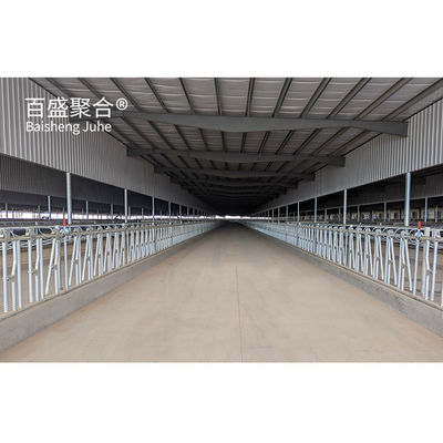 軽鋼構造 牛の農場ビル ISO9001 2008/CE/BVを準拠したプリファブリック牛棚