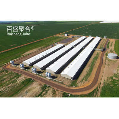 大量 飼料 と 豚 飼育 設備 の 設計 を 備えた 重量 型 プリファブ 式 豚 飼育 場 農 家