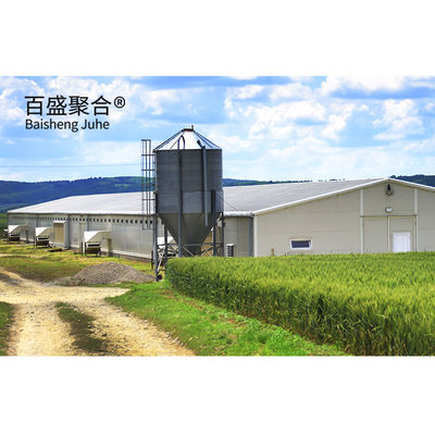 大量 飼料 と 豚 飼育 設備 の 設計 を 備えた 重量 型 プリファブ 式 豚 飼育 場 農 家