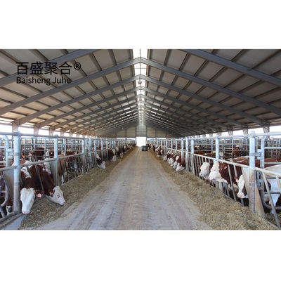 ISO9001 2008/CE/BV 認証済み プリファブリック 鉄筋 H 筋 牛の飼料棚