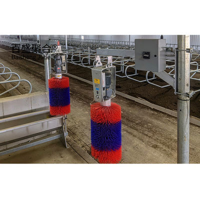 ISO9001 2008/CE/BV 認証済み プリファブリック 鉄筋 H 筋 牛の飼料棚