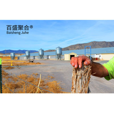 鋼筋 豚場 構造 建物の設計 製鉄 プリファブリック 鶏 豚屋