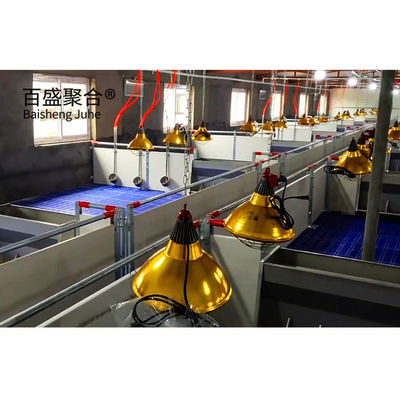 鋼筋 豚場 構造 建物の設計 製鉄 プリファブリック 鶏 豚屋