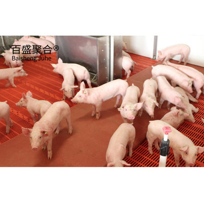 鋼筋構造 鶏屋 棚 プリファブ 鋼筋梁 H 梁 C.Z 形 鋼筋チャネル