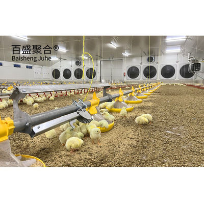 熱浸し電熱鋼構造 鶏肉 鶏飼育場 重荷容量のための棚