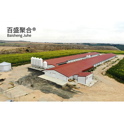 熱浸し電熱鋼構造 鶏肉 鶏飼育場 重荷容量のための棚