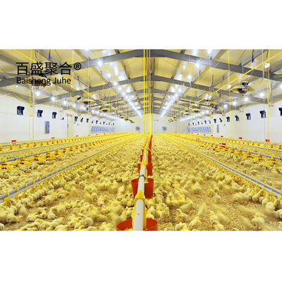 鉄鋼 畜産 飼育 鶏肉 鶏肉 容量 ±1%