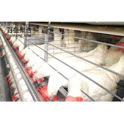 鉄鋼 畜産 飼育 鶏肉 鶏肉 容量 ±1%