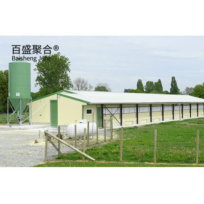 大容量 プリファブリック ブロイラー 家禽 養殖場 建物の サンドウィッチパネル 屋根