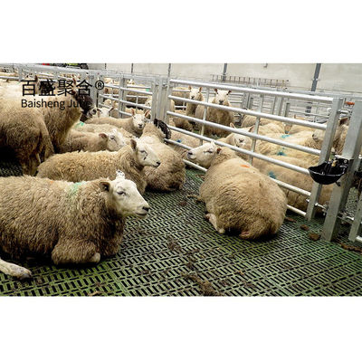ASTM標準設計の製鉄構造羊飼育棚