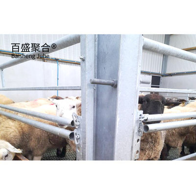 熱帯電池 熱帯電池 熱帯電池 熱帯電池