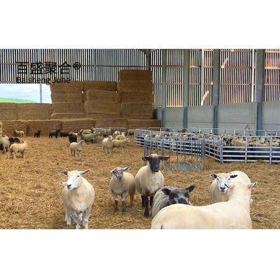 ホットガルバン化鋼構造 飼料棚 定番色とASTM規格