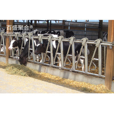 ISO9001 2008/CE/BV 認定 鉄筋 牛棚 羊飼育用 農場 建物