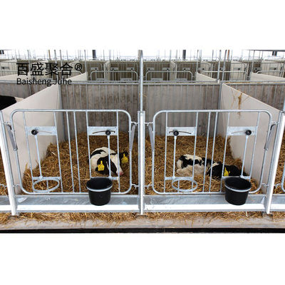 ISO9001 2008/CE/BV 認定 鉄筋 牛棚 羊飼育用 農場 建物