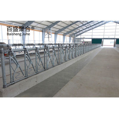 ISO9001 2008/CE/BV 認定 鉄筋 牛棚 羊飼育用 農場 建物