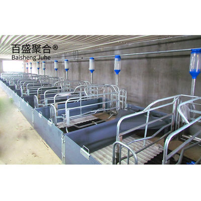 豚飼育における自動飼料システムのための高容量豚飼料機 重用設計