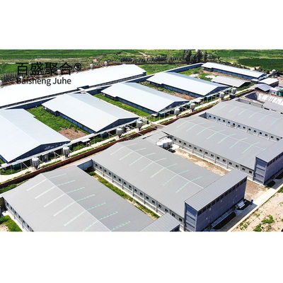 ISO9001 2008/CE/BV 認証された豚飼育事業計画