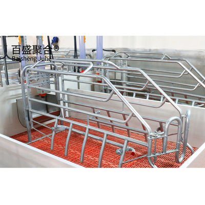 ISO9001 2008/CE/BV 認証された豚飼育事業計画