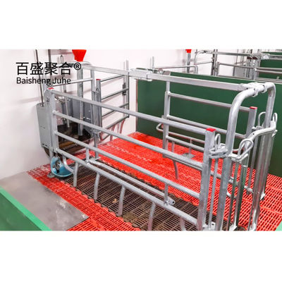 ISO9001 2008/CE/BV 認証された豚飼育事業計画