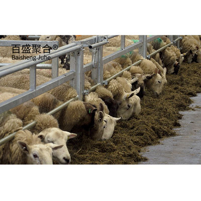 ASTM標準軽鋼構造 Goat House 設計されたプリファブ 農場 羊 羊 鉄棚