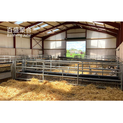 ASTM標準軽鋼構造 Goat House 設計されたプリファブ 農場 羊 羊 鉄棚