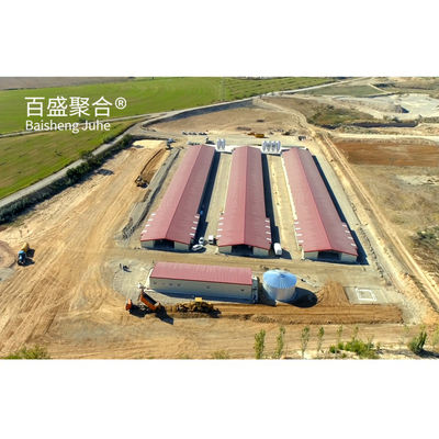 ±1% 許容量 プリファブ家禽農場用 鉄筋構造 鶏家具