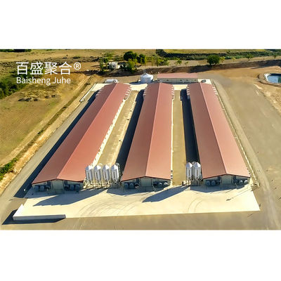 ±1% 許容量 プリファブ家禽農場用 鉄筋構造 鶏家具