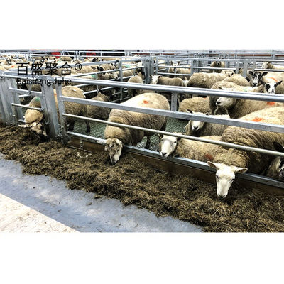 Q235 低炭素鋼のための製鉄鋼構造 羊飼育設計シェードハウス