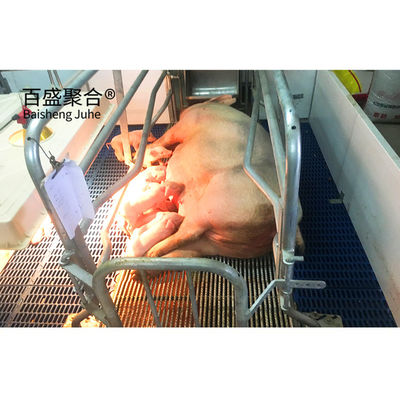 ホットディップガルバン化/塗料噴霧 鶏場のための鋼製プリファブ豚屋設計