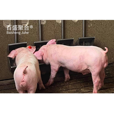 ホットディップガルバン化/塗料噴霧 鶏場のための鋼製プリファブ豚屋設計