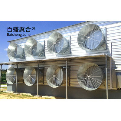 ホットディップ 熱電化 形状 C.Z 鋼チャネル プリファブリック チキンハウス 鶏場