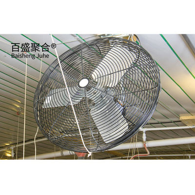 ホットディップ 熱電化 形状 C.Z 鋼チャネル プリファブリック チキンハウス 鶏場