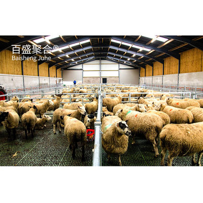 オーダーメイドカラー 鋼筋梁 羊/牛/豚/牛/ヤギの飼育家のためのプリファブ動物棚
