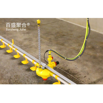 ISO9001 2008/CE/BV 認証された鋼筋枠 オープンサイドの家禽棚の鶏場