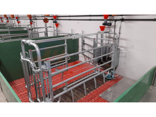 キャビンハウス 産業用建物とC.Z形鋼管の家禽農場設計