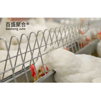 ISO9001 2008/CE/BV認定 畜産と家禽のための鋼鉄農家