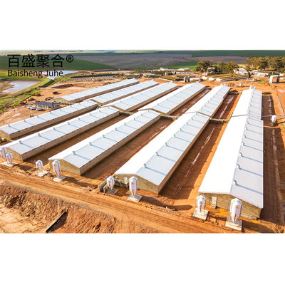 鶏場シェードと産業用建物のための鉄鋼構造設計 スタンド 鉄鋼農業