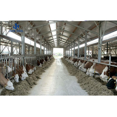 カスタマイズされた色 軽鋼構造 羊飼育家 羊飼育場 牛飼育場 牛飼育場 建設