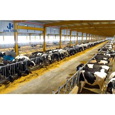 高さ2~10m 牛場ビルド 60mmパイプ直径の牛棚設計