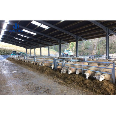低保養の家禽養殖場機器 鉄鋼構造で肉鶏を飼育する