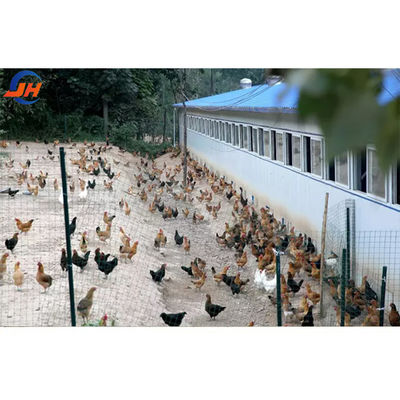 Q235/Q345 低炭素鋼 鶏場 牛 羊 馬 競馬場 牛 羊