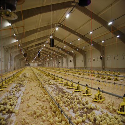 Q235/Q345 低炭素鋼 鶏場 牛 羊 馬 競馬場 牛 羊
